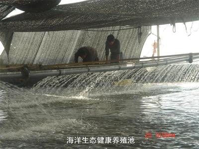 海洋生態養殖池