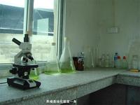 養殖基地化驗室