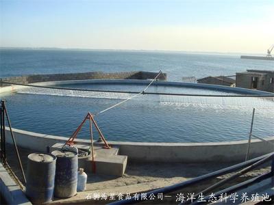 海洋生態科學養殖池