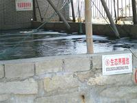 有益菌藻培養池